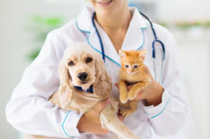 Clínica Veterinaria Monteclaro