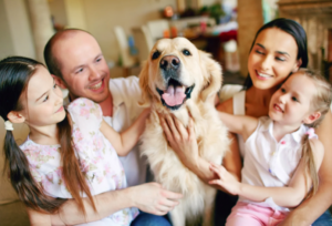 clínica veterinaria Monteclaro